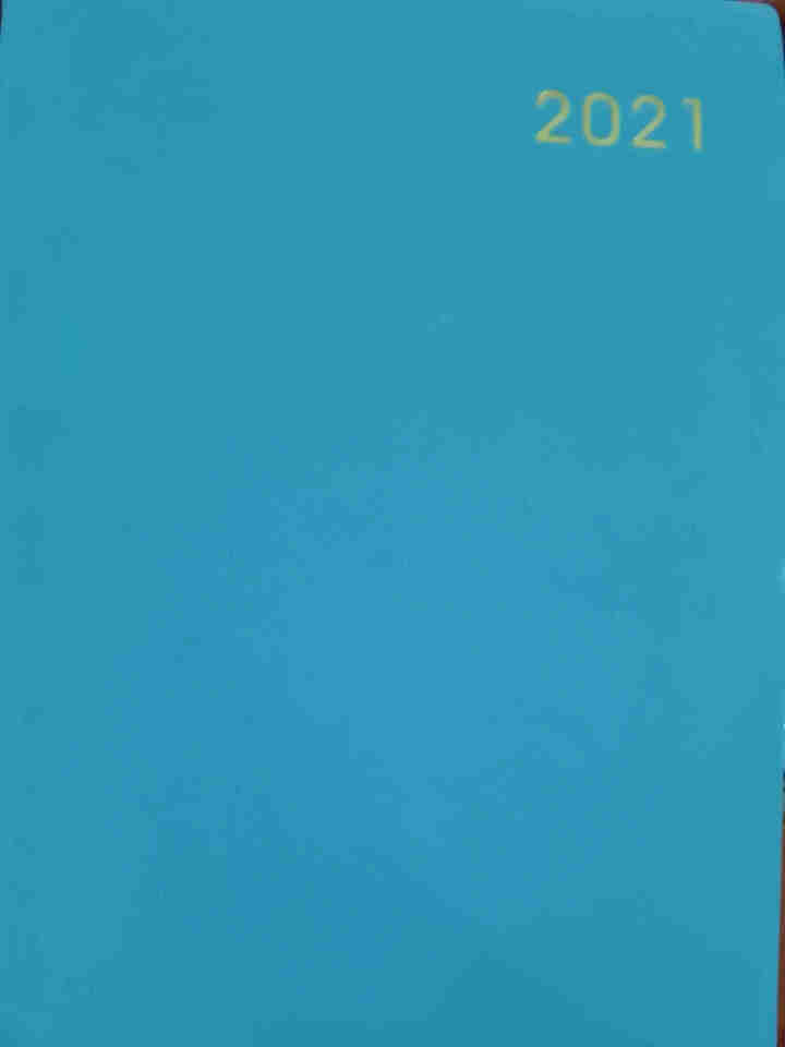 【2本9折】法拉蒙2021年日程本一天一页计划本日历记事本文艺笔记本子效率手册工作手帐本定制logo 蓝色/烫金款(配荧光笔) A款(2021.1~2021.1,第2张