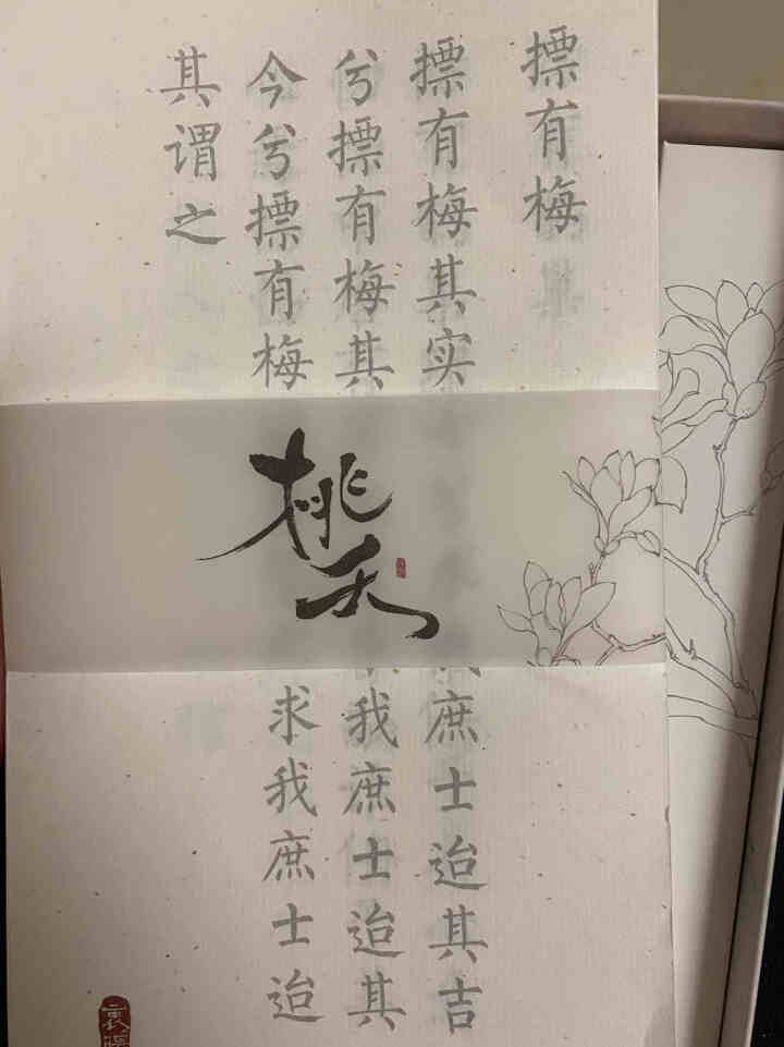 漫娱精选桃夭诗经踏歌古诗乐府情书 字帖自选 礼盒装 少女送人闺蜜礼物国风小清新字 帖楷书临摹练字帖 单本桃夭,第4张