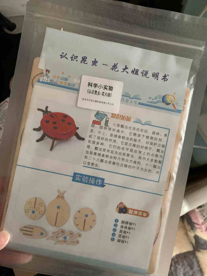 创羽王国幼儿园大小班儿童科技小制作小发明diy手工材料小学生男孩女孩生日礼物认识昆虫七星瓢虫科学实验 原木色怎么样，好用吗，口碑，心得，评价，试用报告,第4张