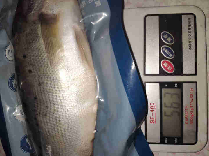 津水鲜逹 鲜冻海鲈鱼500g,第3张