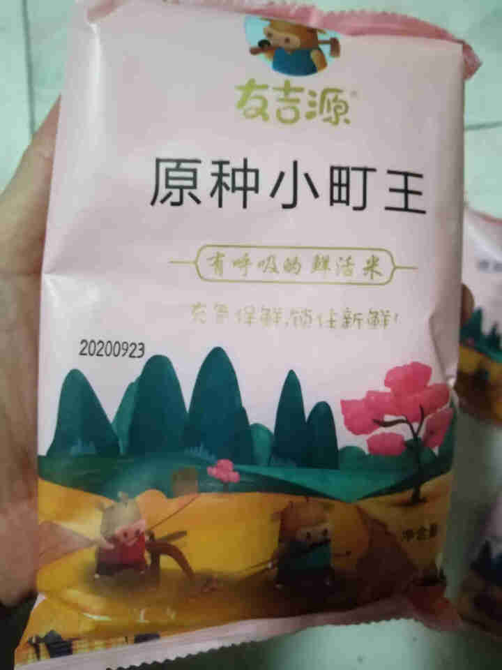 友吉源 东北吉林大米 5KG 氮气保鲜独立小包装0.5kg*10袋 小町米 寿司米 珍珠米 10包共5kg【店长推荐】怎么样，好用吗，口碑，心得，评价，试用报告,第3张