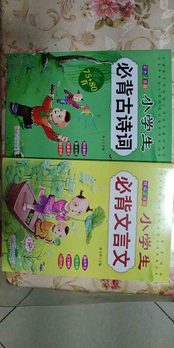 全2册 小学生必背古诗词75+80首+文言文通用版 教材同步全解阅读与训练语文课程标准1,第2张