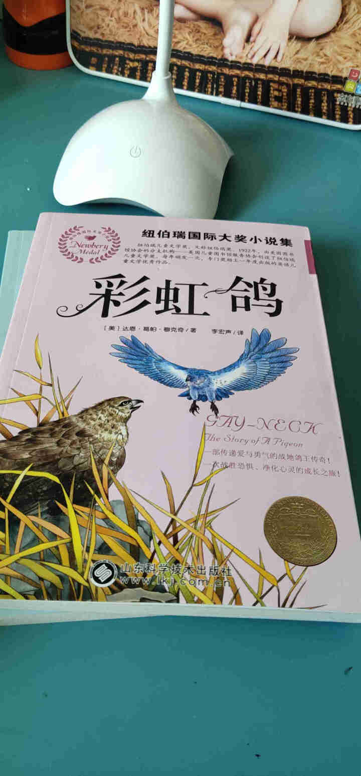 国际大奖小说全8册 纽伯瑞儿童文学名著 兔子坡彩虹鸽草原上的小木屋儿童故事书 6,第4张