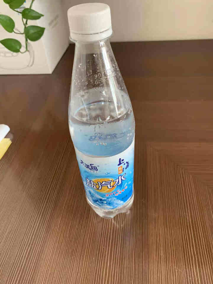 水云生 上海盐汽水600ml经典碳酸饮料饮品咸味汽水 600ml*12瓶怎么样，好用吗，口碑，心得，评价，试用报告,第4张