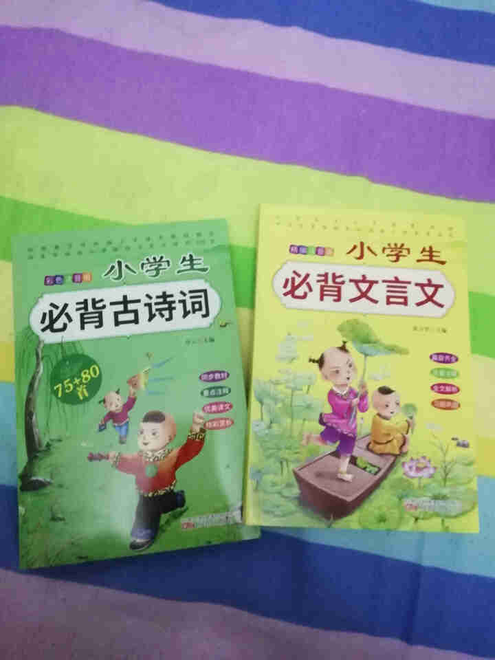 全2册 小学生必背古诗词75+80首+文言文通用版 教材同步全解阅读与训练语文课程标准1,第2张