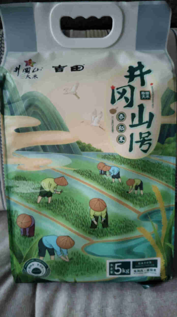吉田井冈山1号香粘大米5kg煲仔饭适用米丝苗米细长籼稻米家用煮饭米10斤籼米怎么样，好用吗，口碑，心得，评价，试用报告,第2张