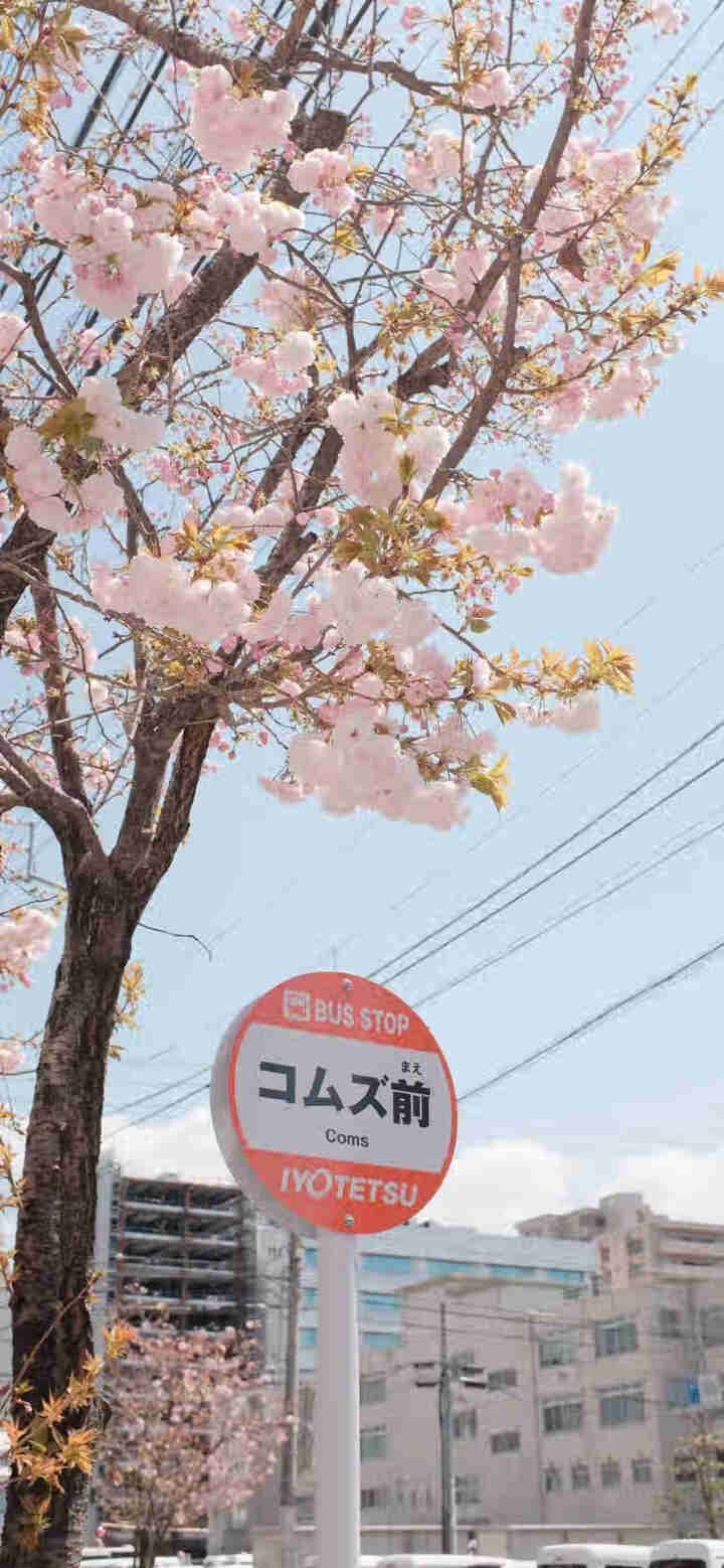 永笙记方便面速食非油炸拉面泡面箱装方便食品自嗨锅即食懒人宵夜宿舍重庆小面虾仁海鲜竹笋老鸭香辣花甲 虾仁海鲜+重庆麻辣+香辣花甲+竹笋老鸭【混合装】怎么样，好用吗,第3张