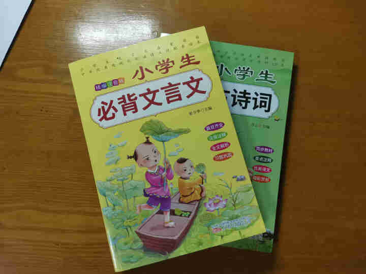 全2册 小学生必背古诗词75+80首+文言文通用版 教材同步全解阅读与训练语文课程标准1,第2张