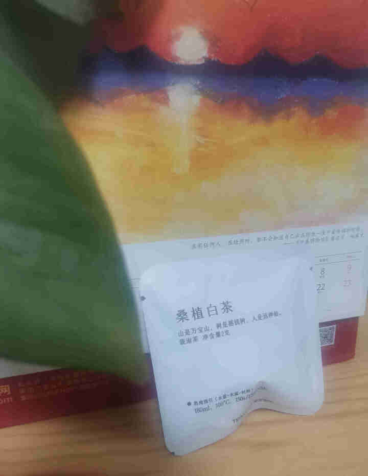 茶守艺（Teaskill）湖南省茶业集团 白茶 茶叶 袋泡茶 茶包 下午茶 办公室茶 桑植白茶怎么样，好用吗，口碑，心得，评价，试用报告,第5张