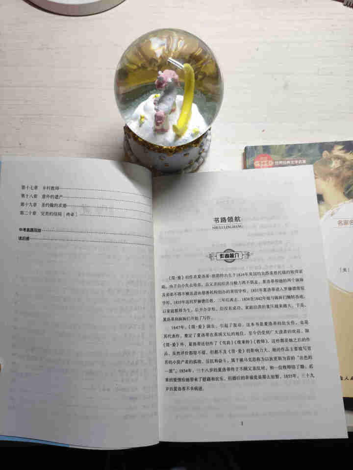 世界十大名著全10册原版全译本简爱堂吉诃德大卫科波菲尔基督山伯爵飘呼啸山庄巴黎圣母院复活外国文学小说怎么样，好用吗，口碑，心得，评价，试用报告,第4张