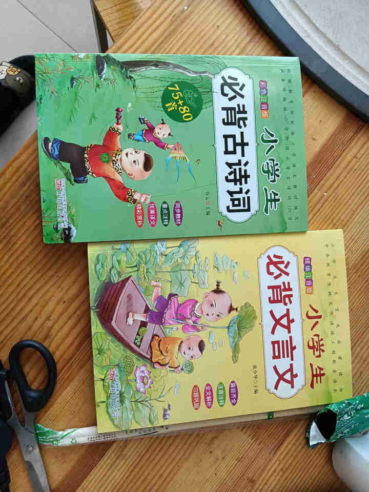 全2册 小学生必背古诗词75+80首+文言文通用版 教材同步全解阅读与训练语文课程标准1,第3张