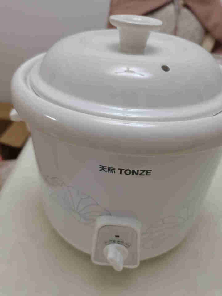 天际（TONZE）慢炖型电炖锅养生煲陶瓷炖锅煮煲汤煮粥锅慢炖锅适合2,第3张