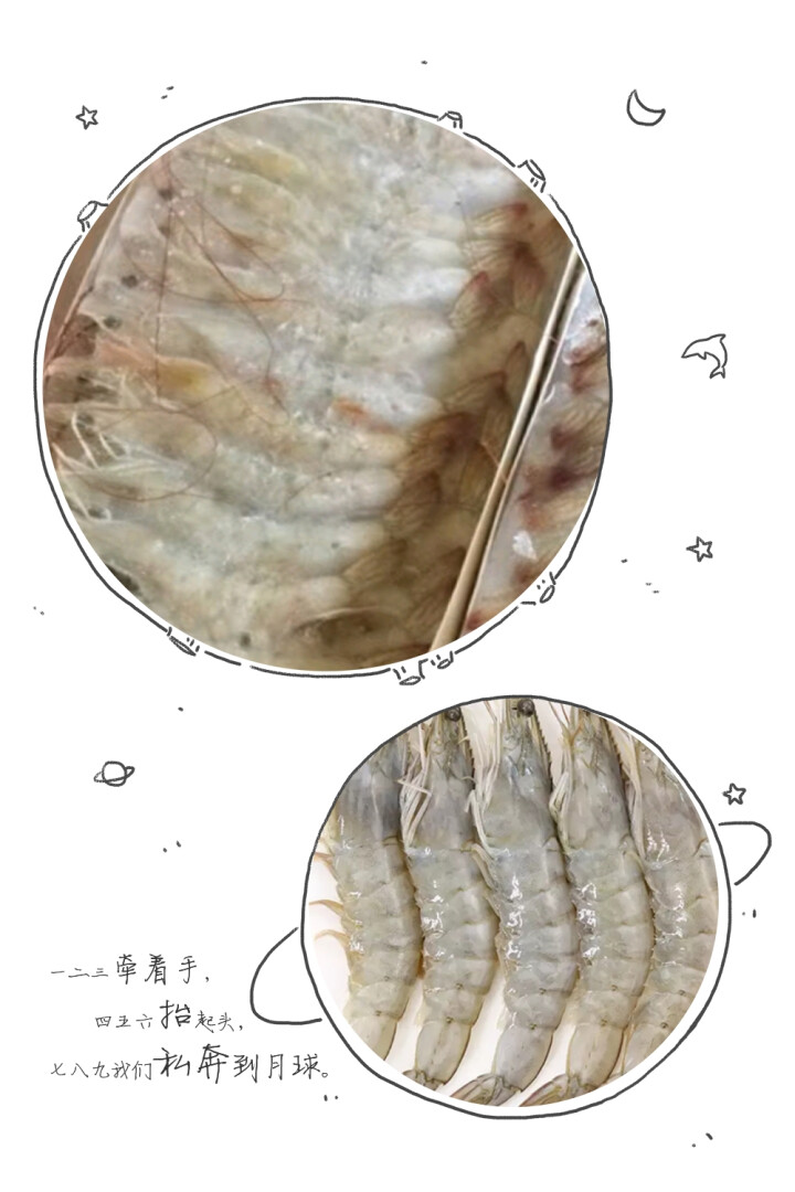 九善食 进口厄瓜多尔白虾(50/60) 净重800g 40,第3张