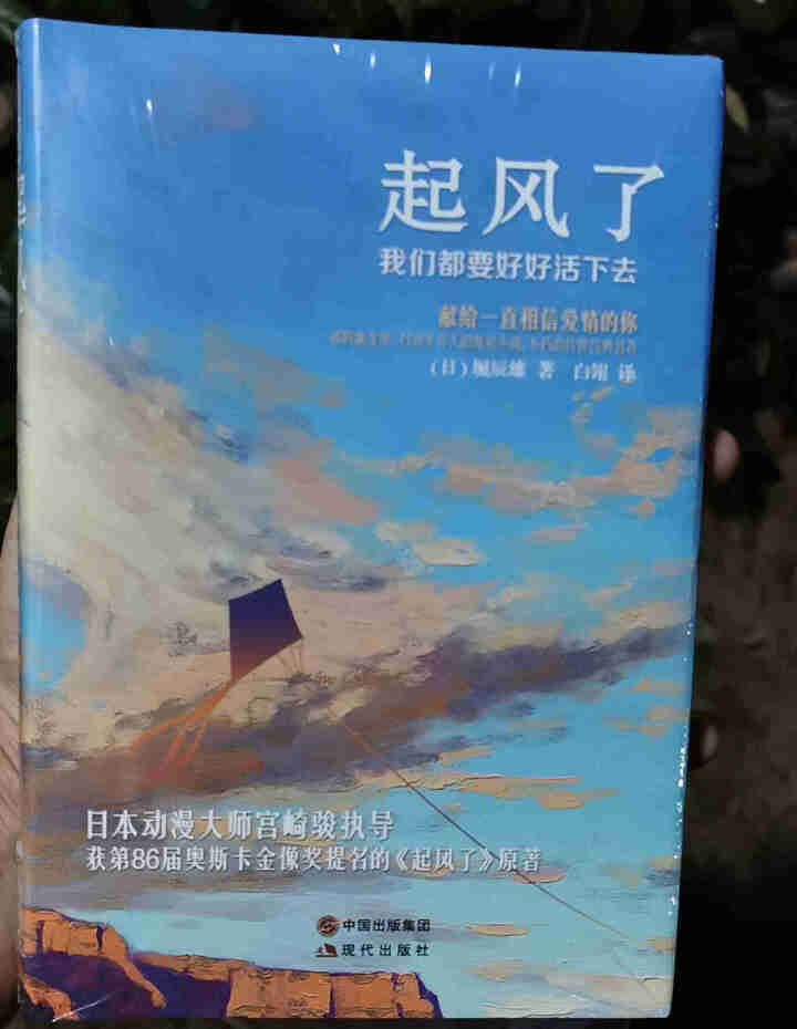 起风了 宫崎骏收官之作 动画电影原著小说 外国现当代文学小说 青春纯爱故事小说 原版 起风了怎么样，好用吗，口碑，心得，评价，试用报告,第2张