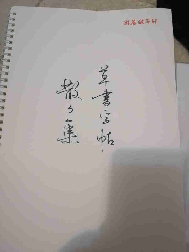 游居敬亭轩 草书行草行书字帖练字本成人手写体漂亮霸气临摹本练字帖网红 草书字帖怎么样，好用吗，口碑，心得，评价，试用报告,第2张