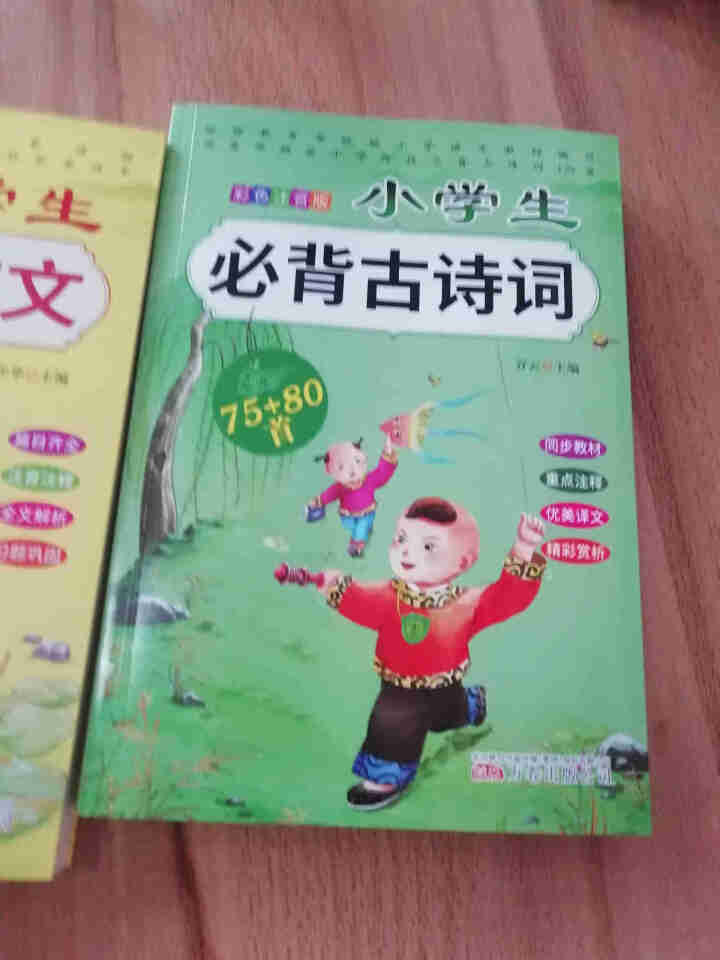 全2册 小学生必背古诗词75+80首+文言文通用版 教材同步全解阅读与训练语文课程标准1,第3张