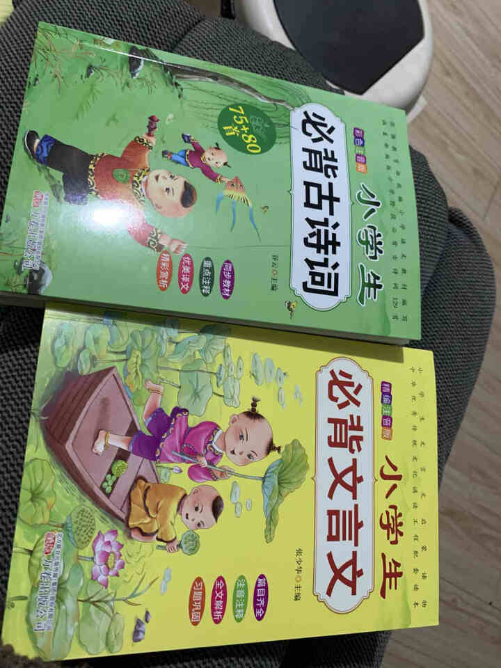 全2册 小学生必背古诗词75+80首+文言文通用版 教材同步全解阅读与训练语文课程标准1,第2张