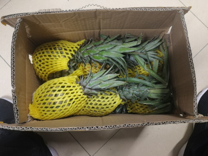 星云湖 云南香水菠萝4kg 约4,第3张