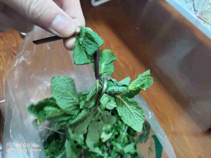 桑叒 薄荷 新鲜薄荷叶食用十香调酒烘培奶茶用新鲜薄荷留兰香大叶 留兰香400g怎么样，好用吗，口碑，心得，评价，试用报告,第3张