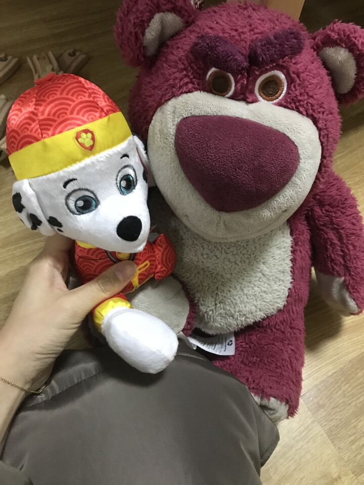 【动漫城】汪汪队立大功（PAW PATROL） 儿童毛绒玩具狗狗毛绒公仔狗年吉祥物礼物礼盒 吉祥物,第3张