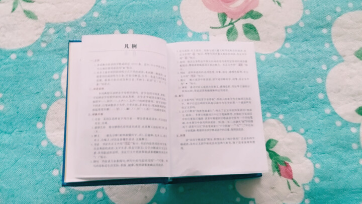 正版新编2019年高中初中小学生专用中华成语词典万条大词典多全功能工具书大全新版新华字典现代汉语 成语词典蓝色版怎么样，好用吗，口碑，心得，评价，试用报告,第4张