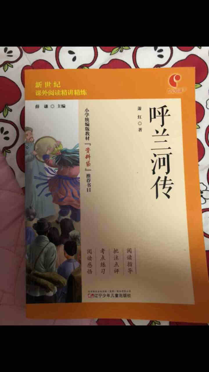 世纪恒通童年爱的教育呼兰河传高尔基萧红快乐读书吧六年级上册名著小学生读物课外阅读书必读儿童书籍故事 呼兰河传怎么样，好用吗，口碑，心得，评价，试用报告,第2张