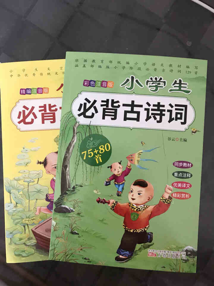 全2册 小学生必背古诗词75+80首+文言文通用版 教材同步全解阅读与训练语文课程标准1,第2张