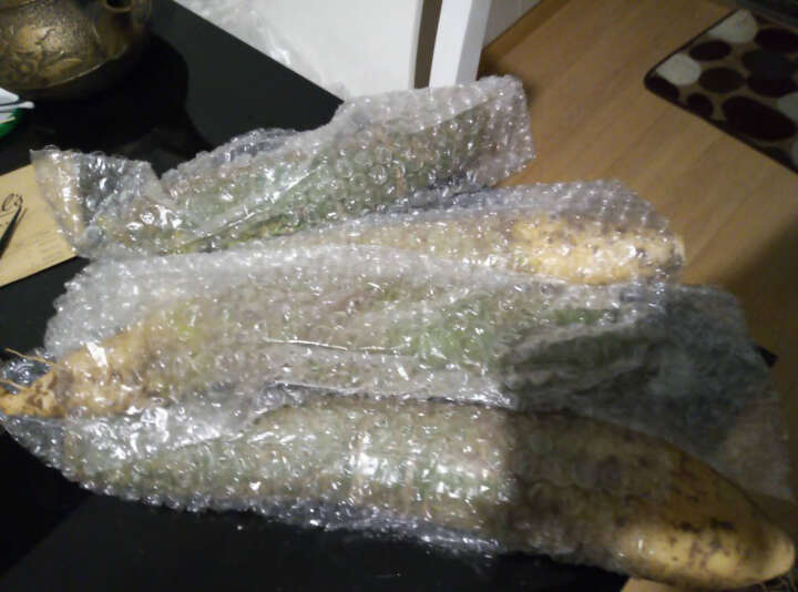 潍坊萝卜 潍县 青萝卜水果萝卜2.5kg 新鲜蔬菜怎么样，好用吗，口碑，心得，评价，试用报告,第2张