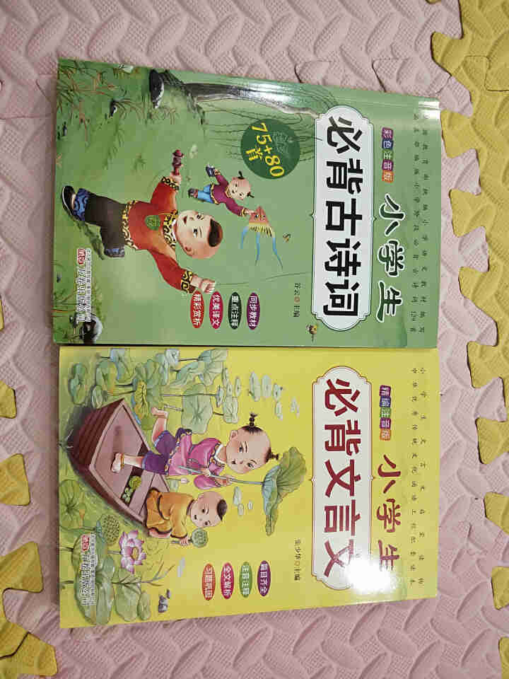 全2册 小学生必背古诗词75+80首+文言文通用版 教材同步全解阅读与训练语文课程标准1,第2张