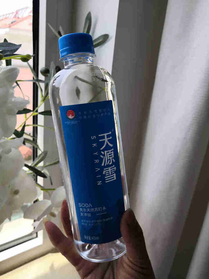 天源雪 克东苏打水 无糖无汽 尿酸高饮用苏打弱碱水 备孕饮用水 470ML*15怎么样，好用吗，口碑，心得，评价，试用报告,第2张