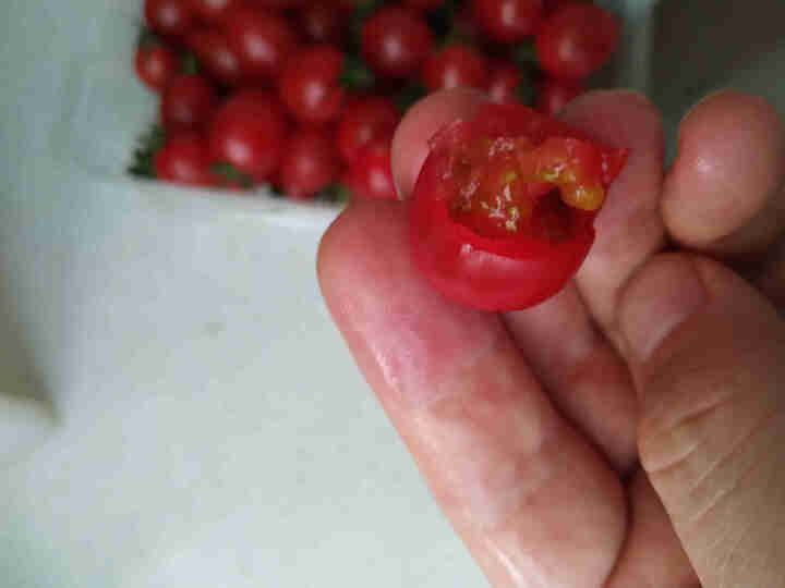 盛福小关 玲珑小番茄 约500g 圣女果 玲珑小西红柿 新鲜水果沙拉食品小关市场 农贸市场 小关怎么样，好用吗，口碑，心得，评价，试用报告,第4张