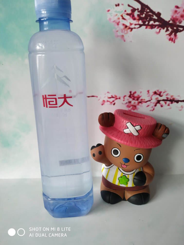 恒大 天然矿泉水 饮用水 瓶装水 非纯净水商务用水 570ml*1瓶（样品不售卖）怎么样，好用吗，口碑，心得，评价，试用报告,第2张