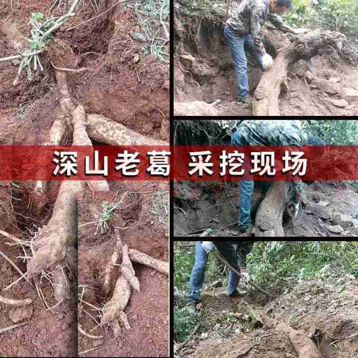 【上饶馆】江西特产葛根粉天然多年老葛根横峰葛峰 野生葛粉 适合男女老少享用 葛根 葛粉 深山老葛根粉500克【25g*20小包】怎么样，好用吗，口碑，心得，评价,第3张