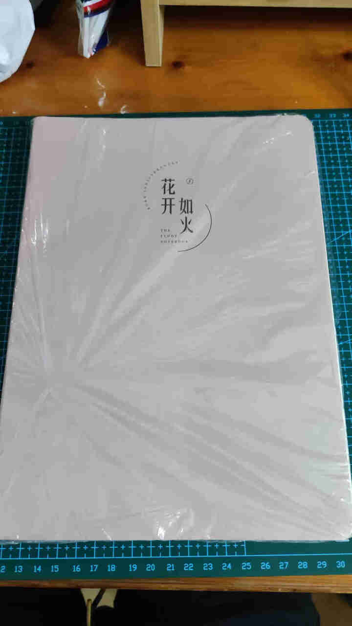 快力文笔记本子简约ins风加厚a4车线本b5a5软面抄练习本线装本摘抄本缝线横线考研学生作业本16k B5/文字款/浅色/5本怎么样，好用吗，口碑，心得，评价，,第2张