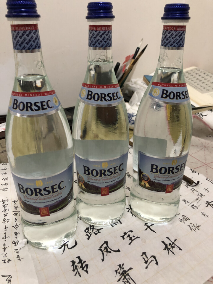 罗马尼亚原装进口 宝赛客（BORSEC）天然含汽 汽泡水 弱碱性矿泉水 整箱 天然含气750ML*6怎么样，好用吗，口碑，心得，评价，试用报告,第3张