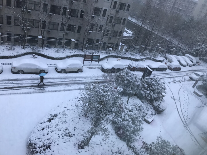 草原惠成 风干牦牛肉休闲零食地方小吃肉干肉脯 原味一袋怎么样，好用吗，口碑，心得，评价，试用报告,第4张