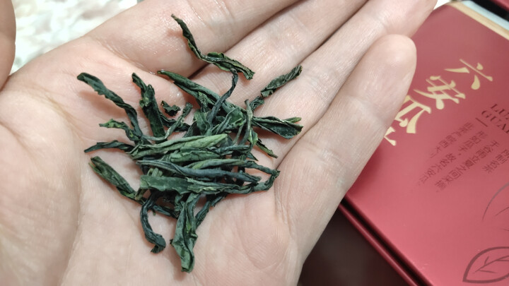 六安瓜片 绿茶茶叶 2018新茶 手工精品散装茶叶一级试喝装100g/罐 一级瓜片,第4张