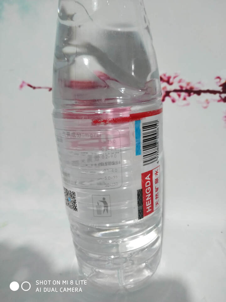 【整箱买一送一】恒大 天然矿泉水饮用水瓶装水非纯净水 550ml*1瓶（样品不售卖）怎么样，好用吗，口碑，心得，评价，试用报告,第3张