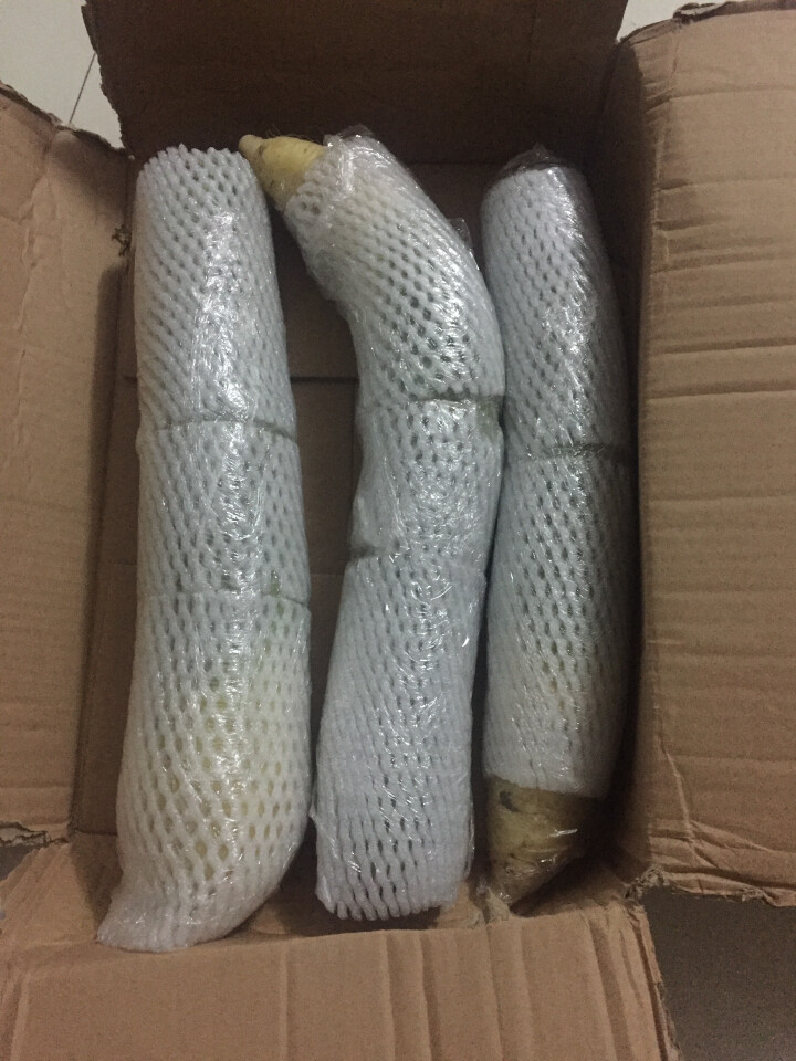 【京东农场】潍坊潍县水果青萝卜 白萝卜约2.5kg 火锅食材 坏果包赔 产地直发怎么样，好用吗，口碑，心得，评价，试用报告,第2张