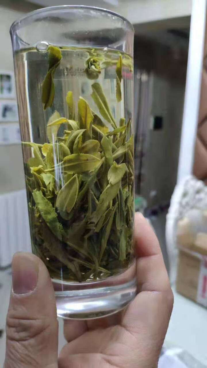 黄山毛峰  绿茶茶叶 2018新茶叶 安徽手工绿茶精品 一级毛峰试喝装75g/罐 一级毛峰,第4张