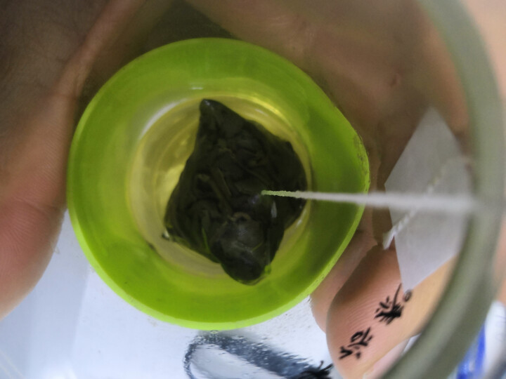 中粮集团中茶清茶铁观音小袋装清香茶叶袋泡花草茶10包一盒30g 铁观音试用装(1袋)怎么样，好用吗，口碑，心得，评价，试用报告,第3张