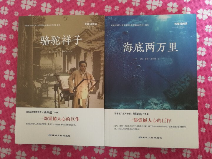 海底两万里初中版骆驼祥子老舍原著正版包邮全套2册七年级初一中学生语文新课标必读课外中外名怎么样，好用吗，口碑，心得，评价，试用报告,第2张