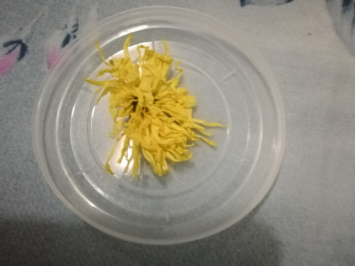 {2件8折 3件7折}宋品茶叶菊花茶金丝皇菊花草茶一杯一朵50朵胎菊散装怎么样，好用吗，口碑，心得，评价，试用报告,第4张