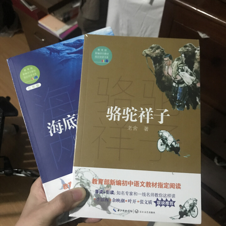 骆驼祥子+海底两万里初一七年级下教育部指定用书 七下套装怎么样，好用吗，口碑，心得，评价，试用报告,第2张