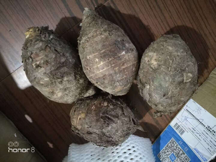 【喜吱吱】广西桂林荔浦芋头 香芋 槟榔芋 紫藤芋 现挖现发 广西特产生鲜蔬菜免邮 大号5斤3,第4张