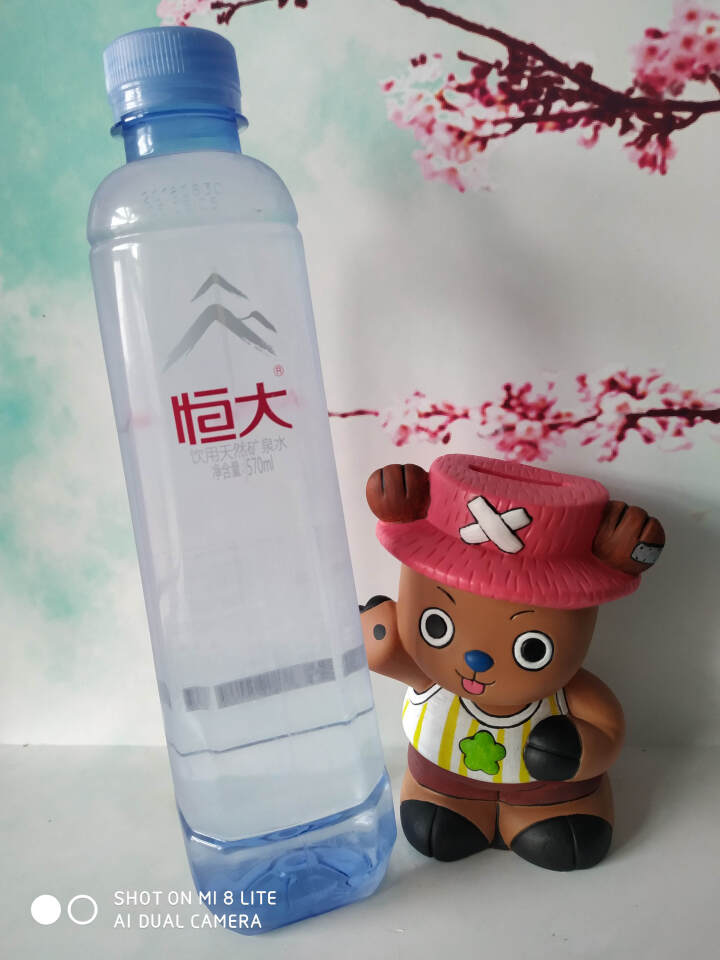 恒大 天然矿泉水 饮用水 瓶装水 非纯净水商务用水 570ml*1瓶（样品不售卖）怎么样，好用吗，口碑，心得，评价，试用报告,第3张