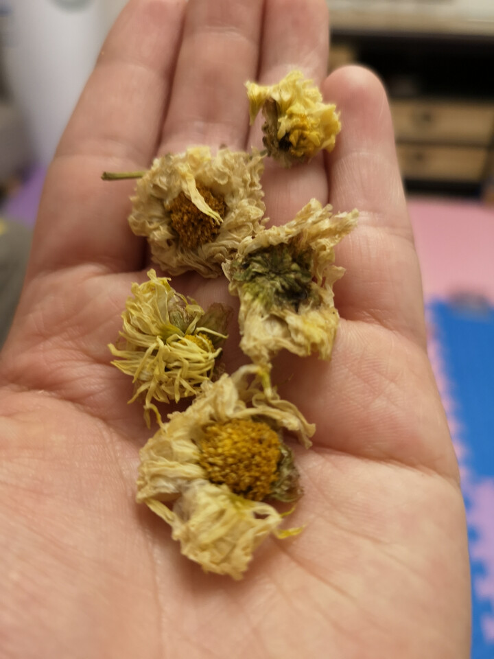 [买一送一]珍茶集 杭白菊菊花茶 桐乡胎菊特级去火茶去肝火清火养生凉茶花草茶可搭配绿茶金银花枸杞罐装怎么样，好用吗，口碑，心得，评价，试用报告,第3张