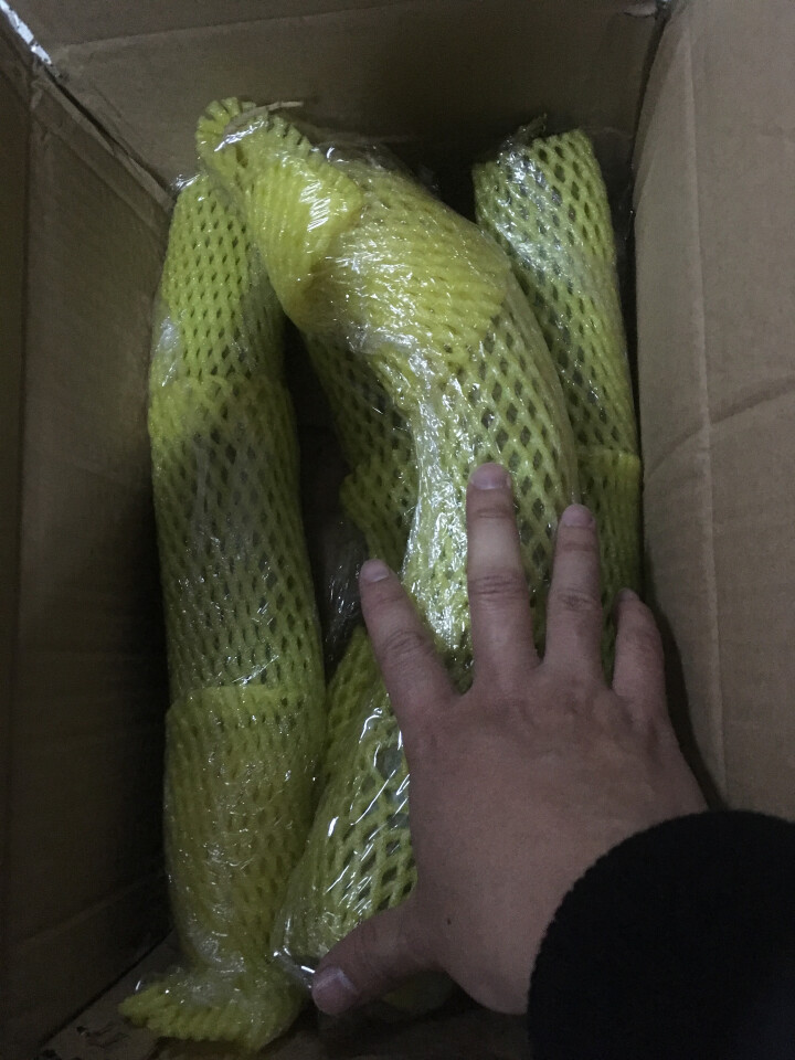 【京东农场】潍坊潍县水果青萝卜 白萝卜约2.5kg 火锅食材 坏果包赔 产地直发怎么样，好用吗，口碑，心得，评价，试用报告,第3张