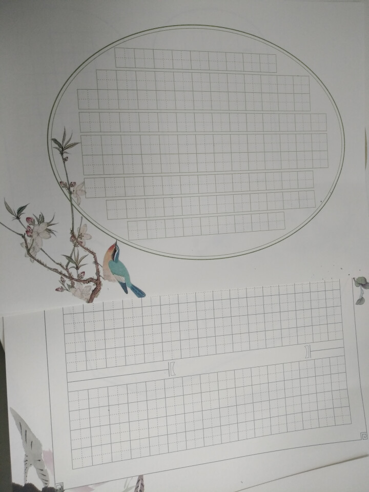 硬笔书法纸练习纸  米字格田字格方格书写纸 钢笔铅笔练习纸作品纸信签纸 比赛专用书写纸 A4 16款花鸟混合款共48张怎么样，好用吗，口碑，心得，评价，试用报告,第4张