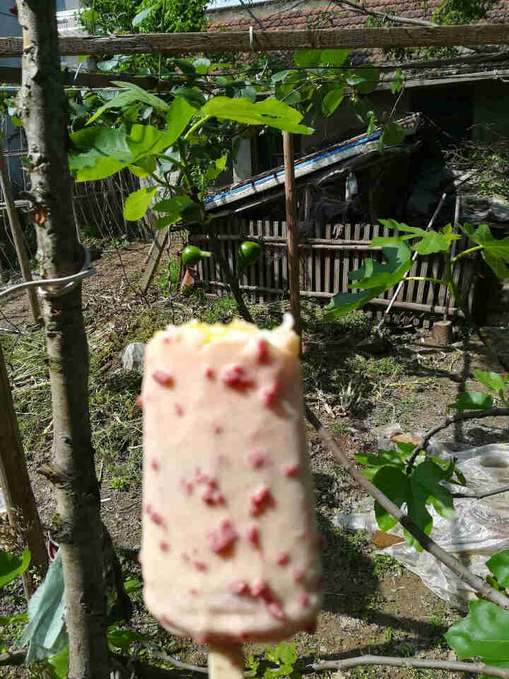 加园黄冰糖 多晶老冰糖土冰糖 调味食糖 冰糖炖雪梨枸杞银耳莲子红枣百合羹配料 500g怎么样，好用吗，口碑，心得，评价，试用报告,第2张